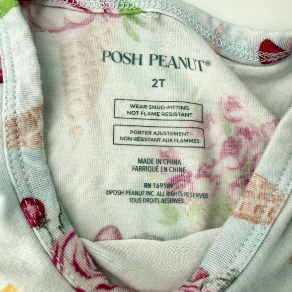 Posh Peanut Girls 2T Floral Sophia  Ice Cream Bamboo Viscose Pajama Set Blue - Picture 2 of 4